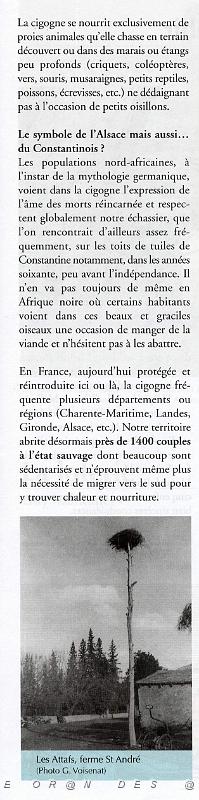 Cigogne  02 extrait de l echo d oranie 337.jpg